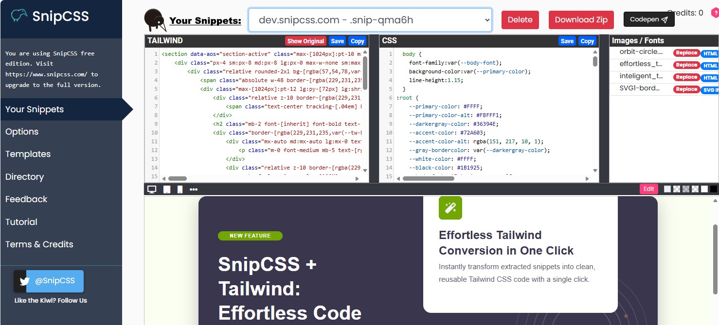 SnipCSS Result Panel